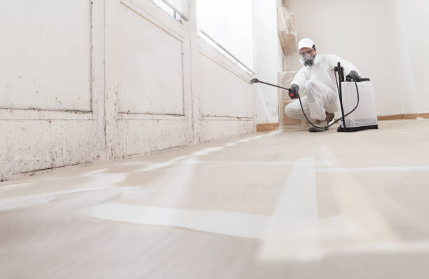 24/7 Emergency Commercial Mold Remediation experts in Freeland, MI
