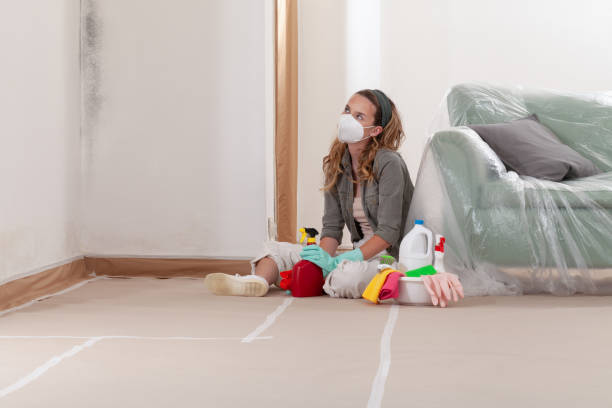 Reliable Commercial Mold Remediation contractor in Freeland, MI by WQB Mold Removal